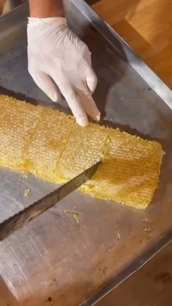 Fotogramma dal video dell’azienda sul miele in favo