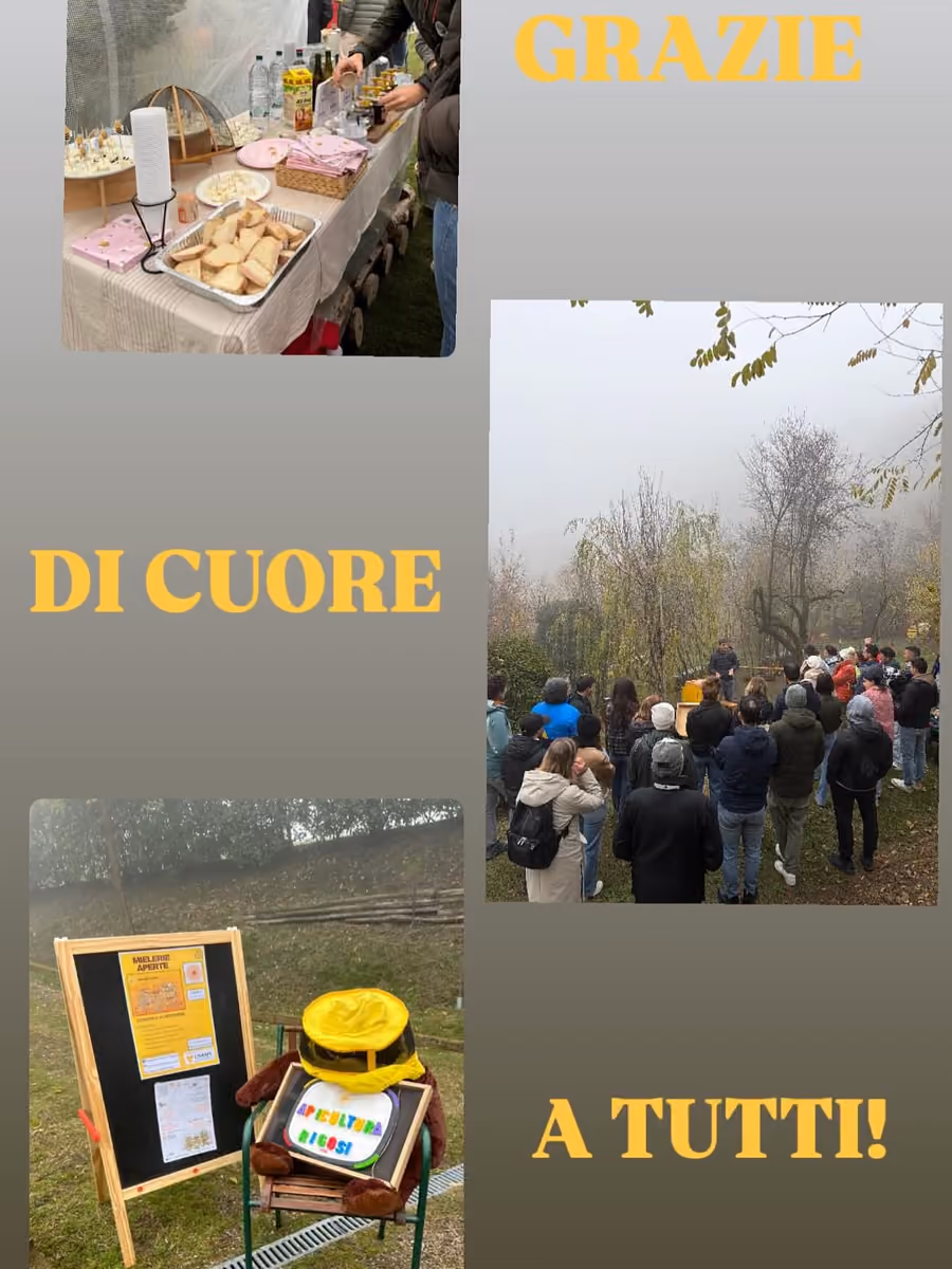 Una giornata di Mielerie Aperte in azienda